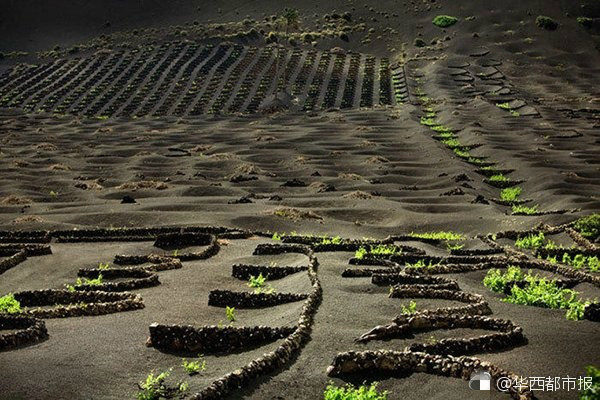 ?? ???! ?? ? ?? ?? ??? ?? ??