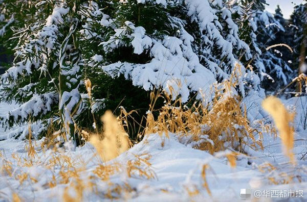 ?? ???! ?? ? ?? ?? ??? ?? ??