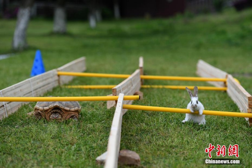 ?? ??? ??? ?? ????, ‘??VS??’ ?? ????