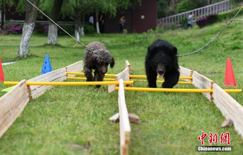 ?? ??? ??? ?? ????, ‘??VS??’ ?? ????