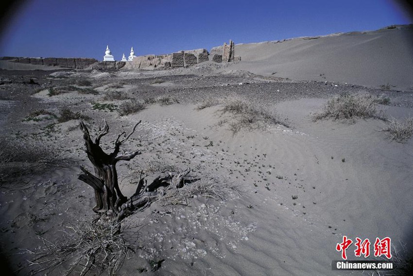 ???? ?? ??: 1100? ? ??? ?, ? ?? ??? ??