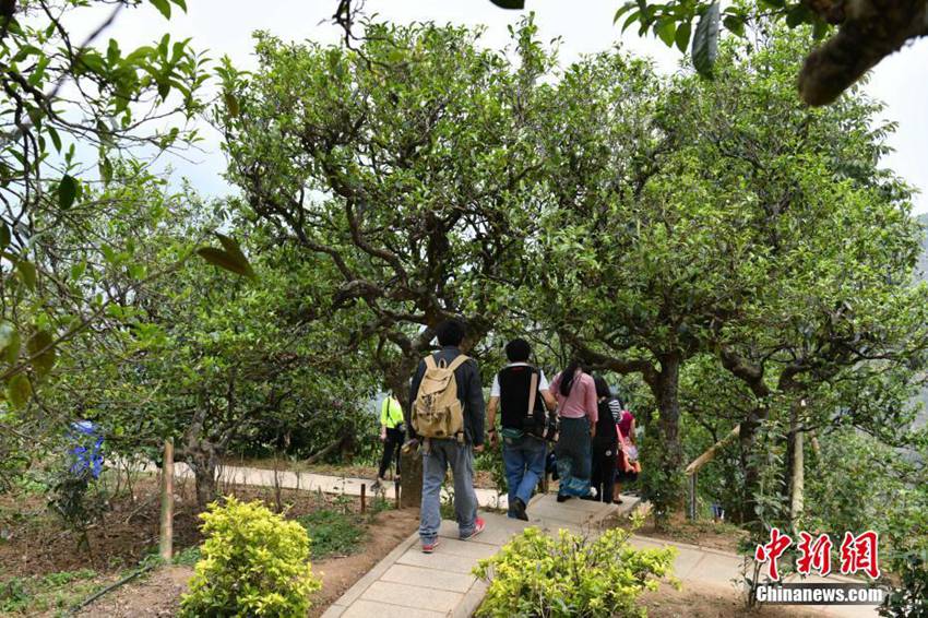 ?? ???? ??, ? ?? 10? ? 200? ??