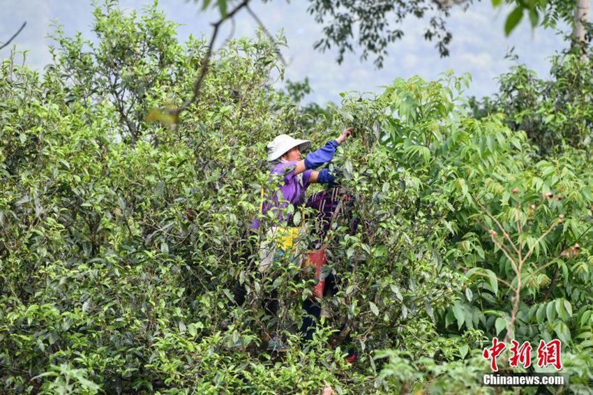 ?? ???? ??, ? ?? 10? ? 200? ??