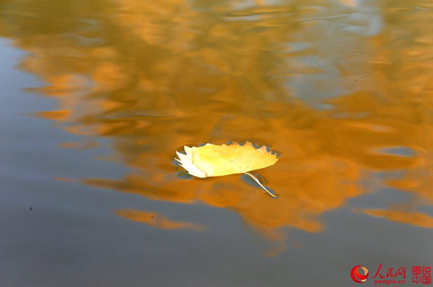 ‘????’ ? ??? ??? ??? ???? ?