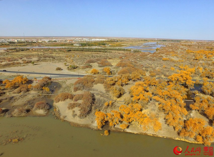 ‘????’ ? ??? ??? ??? ???? ?