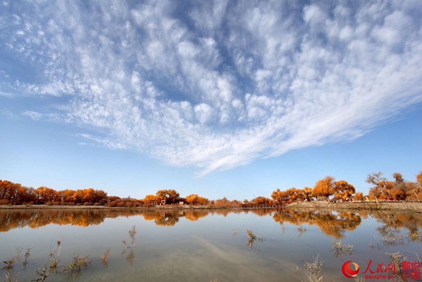 ‘????’ ? ??? ??? ??? ???? ?