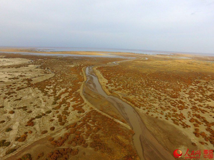 ‘????’ ? ??? ??? ??? ???? ?