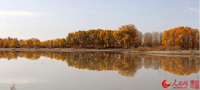 ‘????’ ? ??? ??? ??? ???? ?