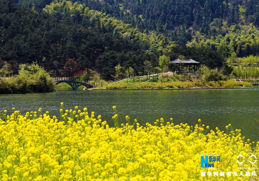 ?? ????? ?1? ????? ????? ???? ??, ??? 1? 7?