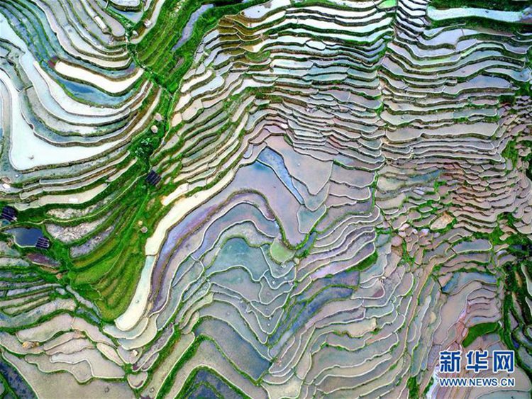 4? ??? ?? ?? ????, ??? ??? ?? ??