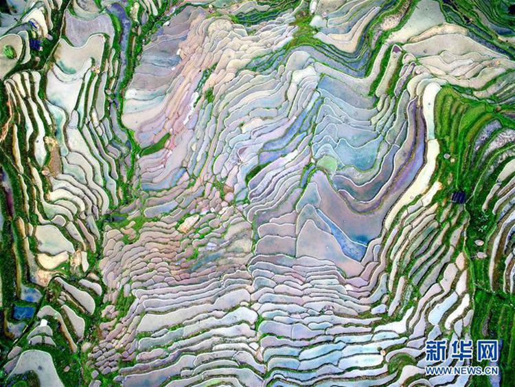 4? ??? ?? ?? ????, ??? ??? ?? ??