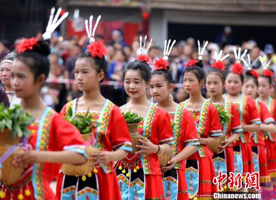 ?? ?? ???? ??? ?? ??? ‘??(油茶) ??’