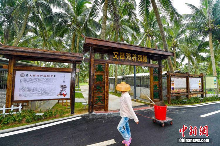 ?? ??? ??? ??? ????, ?? ??? ‘?? ?? ??’