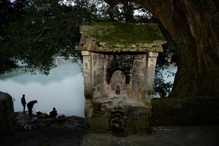 ???? ?? ?? ?? ‘???(薩瑪節)’ ??