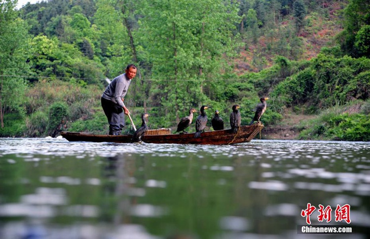 ??&?&??? ??: ??? ???? ???? ??? ??