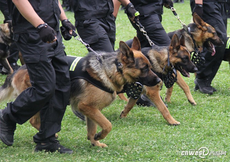 ?? ???? 300??? ???? ?? ??, ????? ?? ???