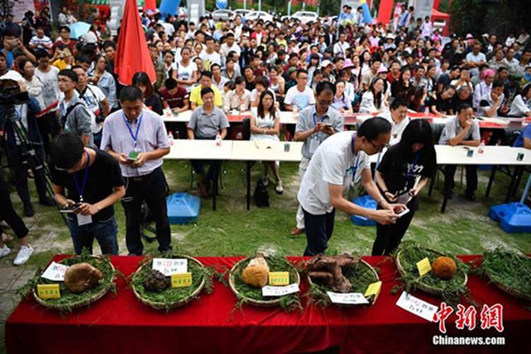 ?? ?? ????? ??? ‘???’ ????