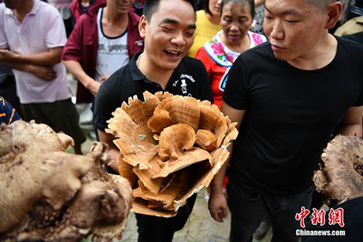 ?? ?? ????? ??? ‘???’ ????