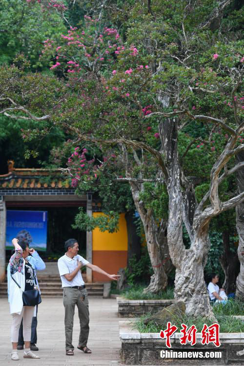 ?? ?? 200? ?? ???? ? ?? ??? ??? ??