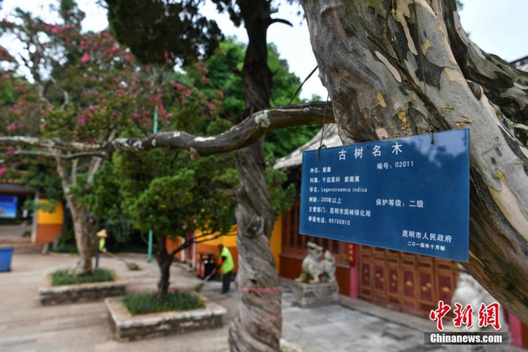 ?? ?? 200? ?? ???? ? ?? ??? ??? ??