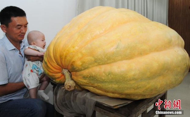 ???, 280kg?? ?? ?? ??? ??? ?? ??