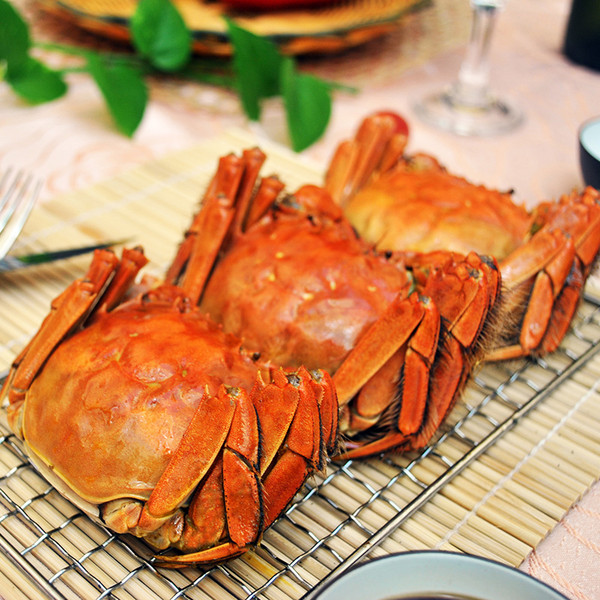 ??? ????? ??? ???! ??? ??? ?? ??? ‘?? ???’ ??