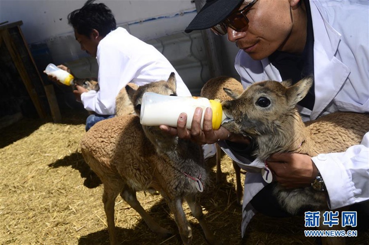 ??? ??? ??? ?? ??? ??, ???? ??? ‘????’