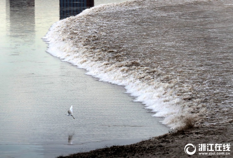 ?? 7? ??? ? ? ?? ??? ???? ‘??’