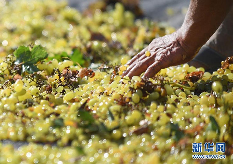 ?? ??? ?? ??? ?? ???? ??