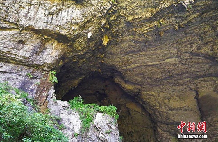 ?? ‘????’, ??? ??? ??? ????