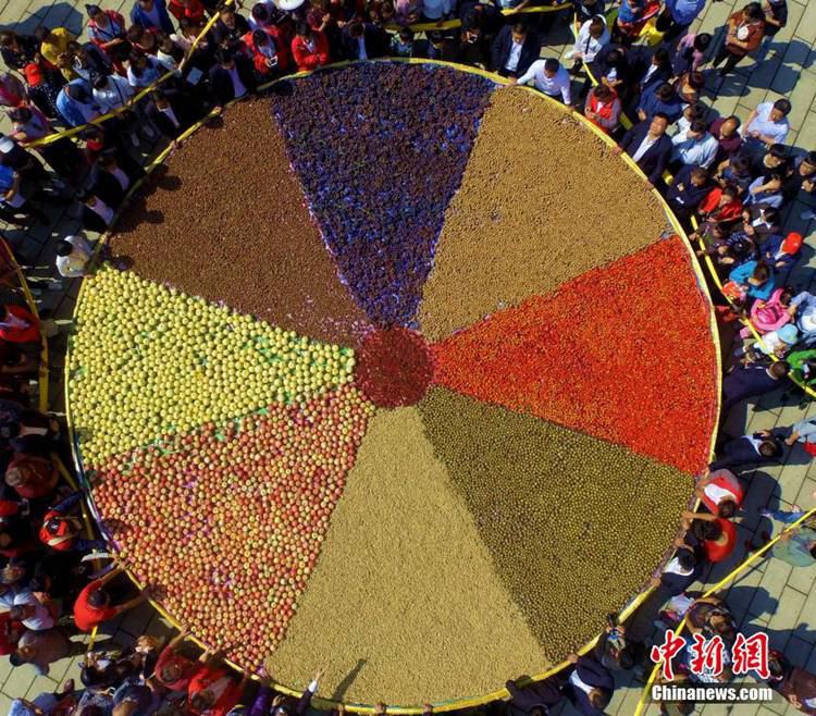 ?? ???? ?? ?? ?? ?? 1800kg ??…???? ??