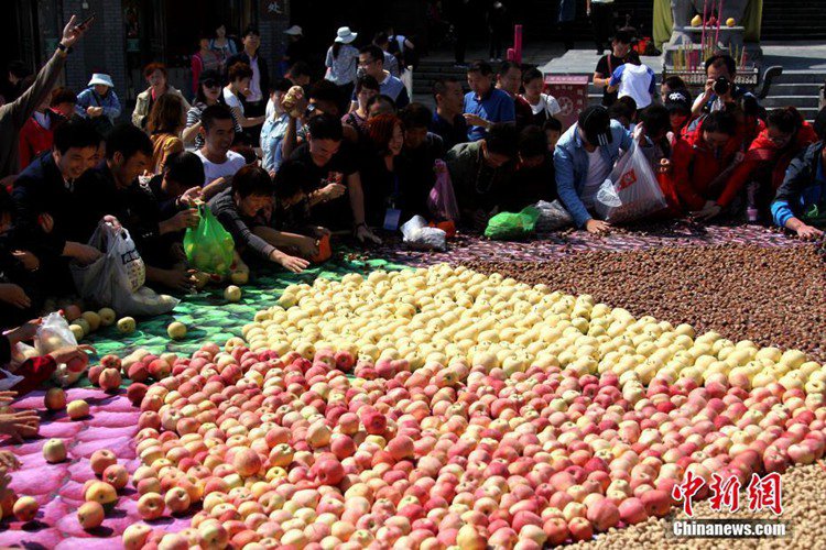 ?? ???? ?? ?? ?? ?? 1800kg ??…???? ??