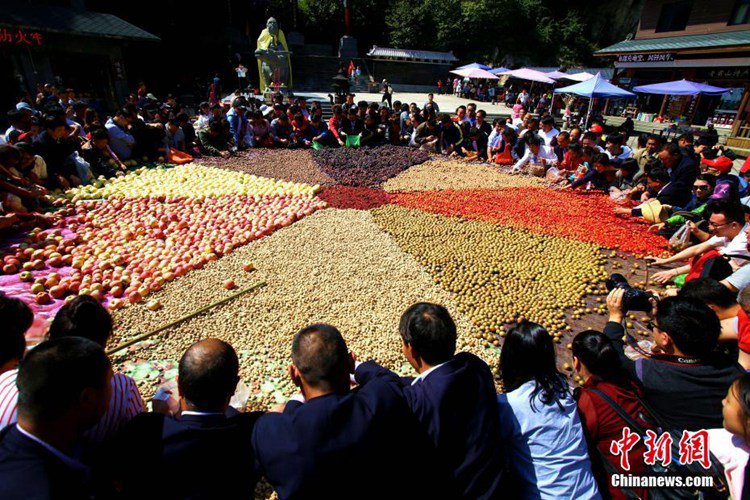 ?? ???? ?? ?? ?? ?? 1800kg ??…???? ??