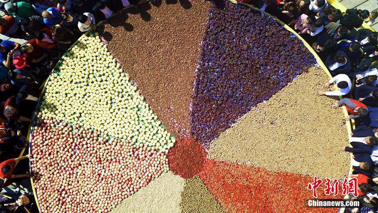 ?? ???? ?? ?? ?? ?? 1800kg ??…???? ?? 