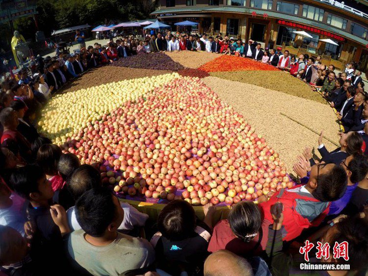 ?? ???? ?? ?? ?? ?? 1800kg ??…???? ?? 