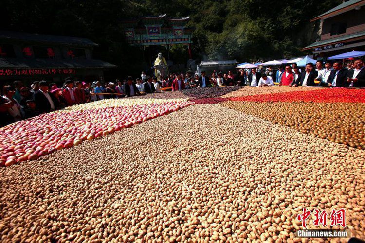 ?? ???? ?? ?? ?? ?? 1800kg ??…???? ??