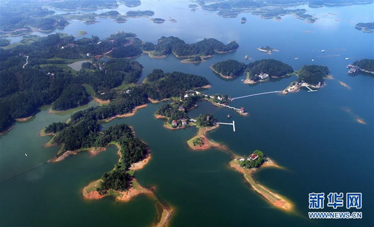 ???? ??, ?? ?? 5A? ??? ‘???’ ??? ??