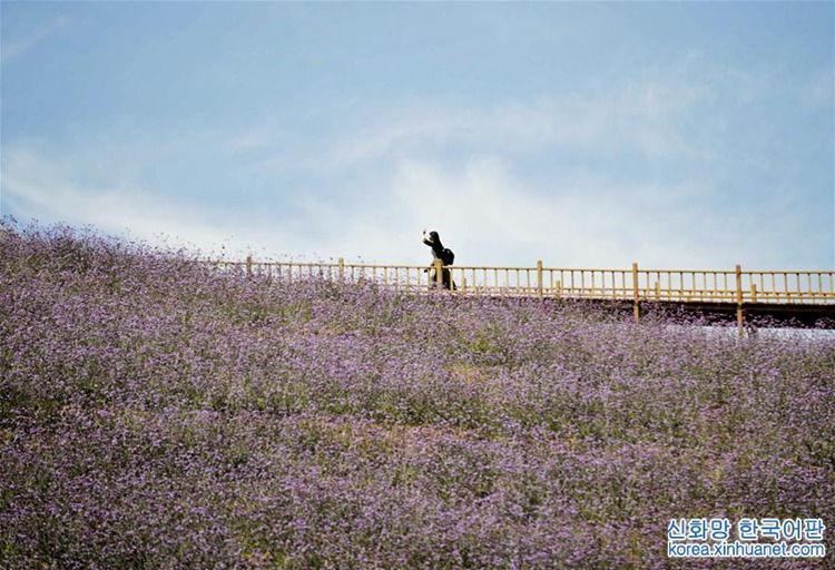 ? ??? ?? ??? ???? ??