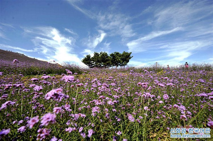 ? ??? ?? ??? ???? ??