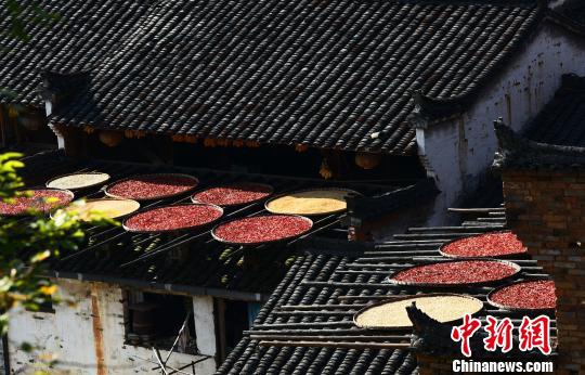 ?? ??? ??? ?? ??…????? ??? ?? ???