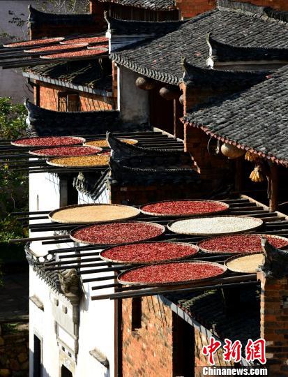 ?? ??? ??? ?? ??…????? ??? ?? ???