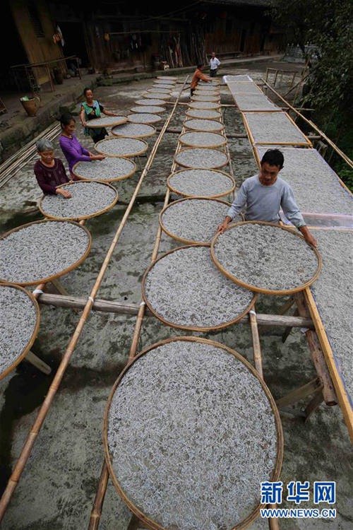 ?? ???, ?? ?? ‘????’ ?? ??