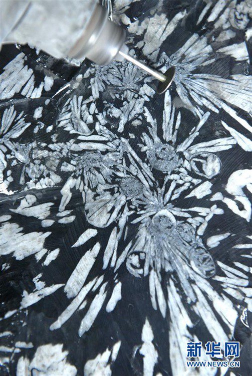 ? ?? ?? ‘?’, ??? ‘???’ ?? ??