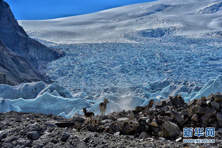 ?? ???? ?? ??? ?? ?????? ??