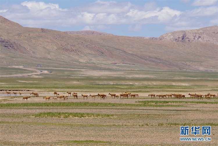 ?? ???? ?? ??? ?? ?????? ??