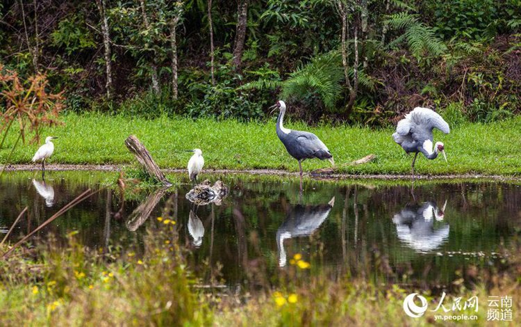 ?? ??? ‘??????’?? ??? ?? ‘????????’