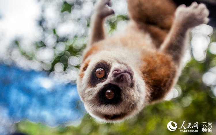 ?? ??? ‘??????’?? ??? ?? ‘????????’