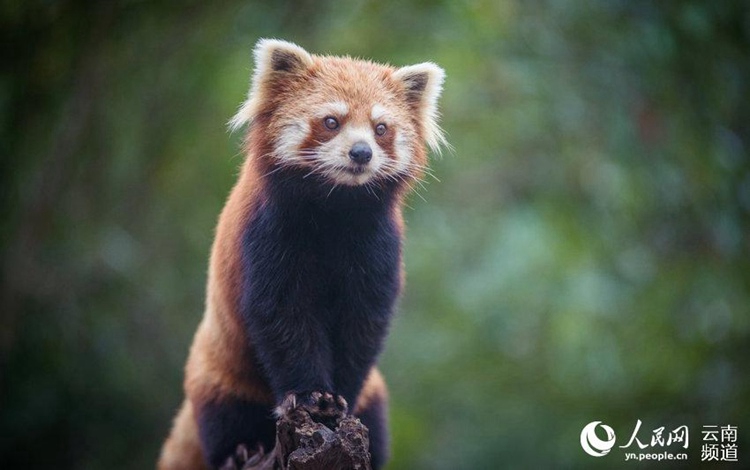 ?? ??? ‘??????’?? ??? ?? ‘????????’