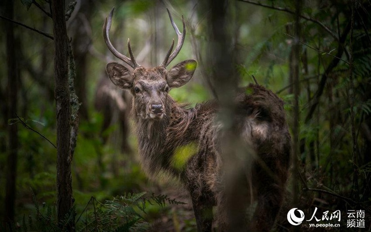 ?? ??? ‘??????’?? ??? ?? ‘????????’