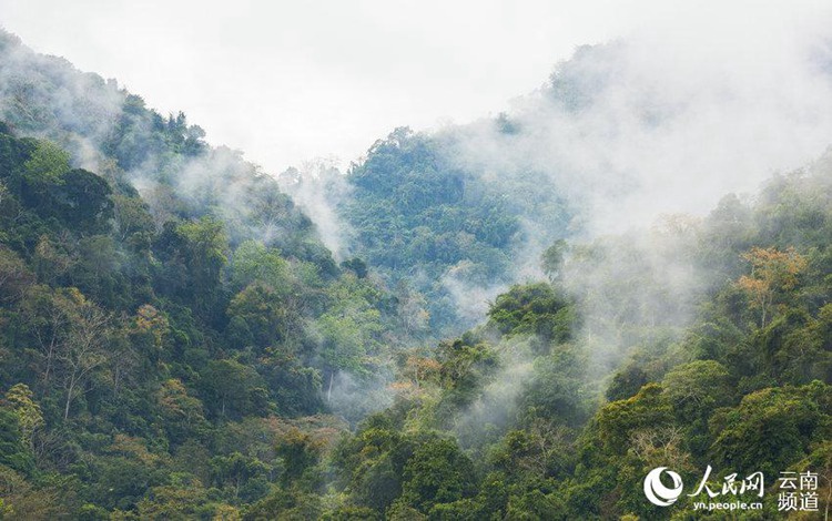 ?? ??? ‘??????’?? ??? ?? ‘????????’